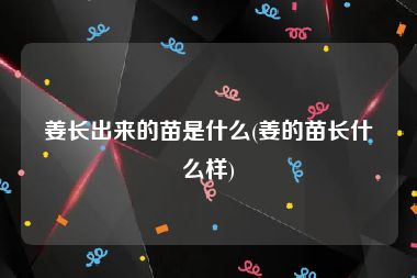 姜长出来的苗是什么(姜的苗长什么样)