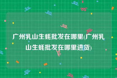 广州乳山生蚝批发在哪里(广州乳山生蚝批发在哪里进货)