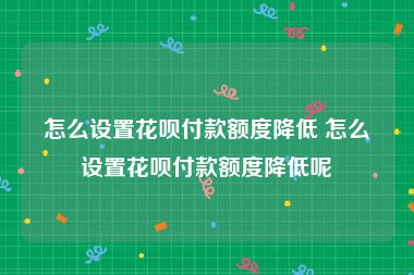 怎么设置花呗付款额度降低 怎么设置花呗付款额度降低呢