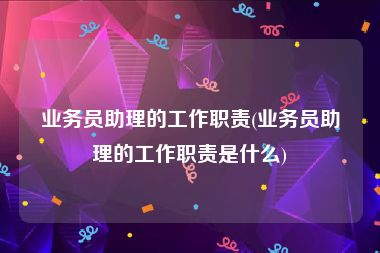 业务员助理的工作职责(业务员助理的工作职责是什么)