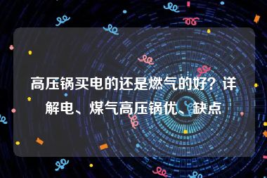 高压锅买电的还是燃气的好？详解电、煤气高压锅优、缺点