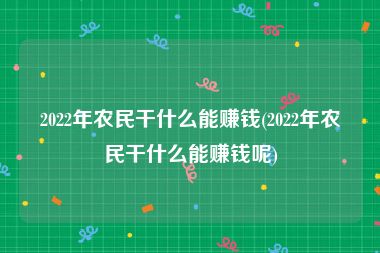 2022年农民干什么能赚钱(2022年农民干什么能赚钱呢)