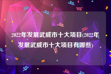 2022年发展武威市十大项目(2022年发展武威市十大项目有哪些)