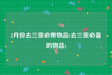 2月份去三亚必带物品(去三亚必备的物品)