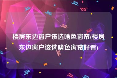 楼房东边窗户该选啥色窗帘(楼房东边窗户该选啥色窗帘好看)