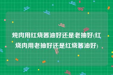 炖肉用红烧酱油好还是老抽好(红烧肉用老抽好还是红烧酱油好)