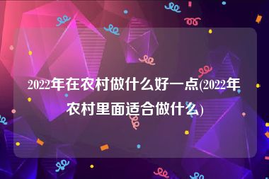 2022年在农村做什么好一点(2022年农村里面适合做什么)