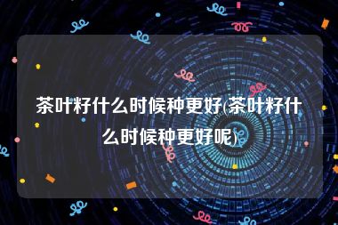 茶叶籽什么时候种更好(茶叶籽什么时候种更好呢)