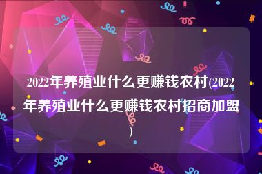 2022年养殖业什么更赚钱农村(2022年养殖业什么更赚钱农村招商加盟)