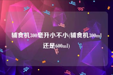 辅食机300毫升小不小(辅食机300ml还是600ml)