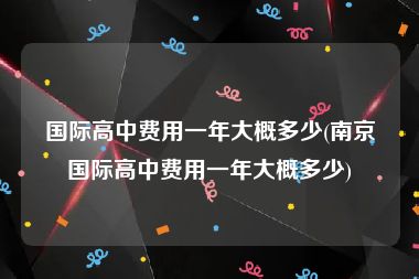 国际高中费用一年大概多少(南京国际高中费用一年大概多少)