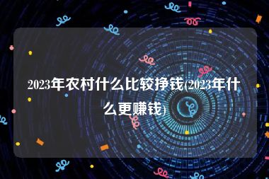 2023年农村什么比较挣钱(2023年什么更赚钱)