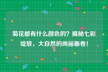 菊花都有什么颜色的？揭秘七彩绽放，大自然的绚丽画卷！