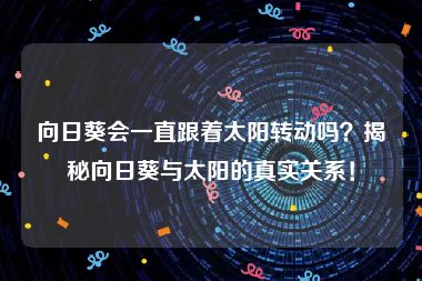 向日葵会一直跟着太阳转动吗？揭秘向日葵与太阳的真实关系！