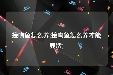 接吻鱼怎么养(接吻鱼怎么养才能养活)