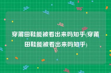 穿莆田鞋能被看出来吗知乎(穿莆田鞋能被看出来吗知乎)