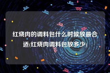 红烧肉的调料包什么时候放最合适(红烧肉调料包放多少)