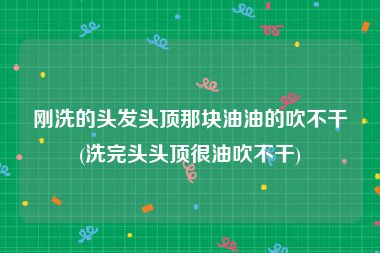 刚洗的头发头顶那块油油的吹不干(洗完头头顶很油吹不干)