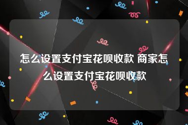 怎么设置支付宝花呗收款 商家怎么设置支付宝花呗收款