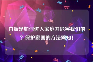 白蚁是如何进入家庭并危害我们的？保护家园的方法需知！