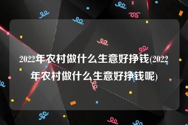 2022年农村做什么生意好挣钱(2022年农村做什么生意好挣钱呢)