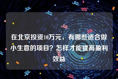 在北京投资10万元，有哪些适合做小生意的项目？怎样才能提高盈利效益