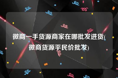 微商一手货源商家在哪批发进货(微商货源平民价批发)