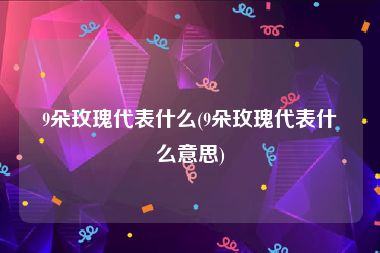 9朵玫瑰代表什么(9朵玫瑰代表什么意思)