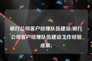 银行公司客户经理队伍建设(银行公司客户经理队伍建设工作经验成果)