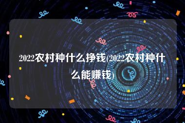 2022农村种什么挣钱(2022农村种什么能赚钱)