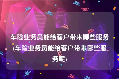 车险业务员能给客户带来哪些服务(车险业务员能给客户带来哪些服务呢)