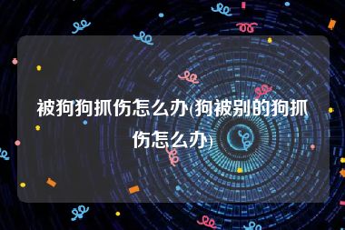 被狗狗抓伤怎么办(狗被别的狗抓伤怎么办)