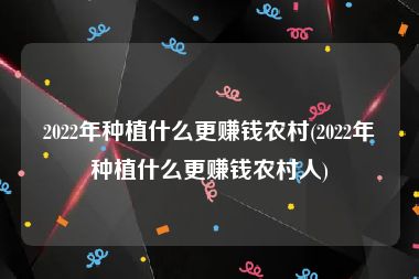 2022年种植什么更赚钱农村(2022年种植什么更赚钱农村人)