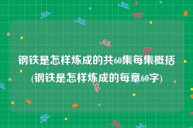 钢铁是怎样炼成的共60集每集概括(钢铁是怎样炼成的每章60字)