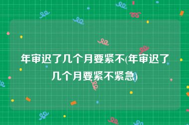 年审迟了几个月要紧不(年审迟了几个月要紧不紧急)