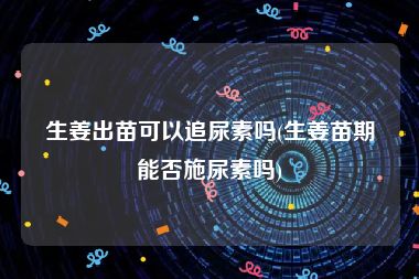 生姜出苗可以追尿素吗(生姜苗期能否施尿素吗)