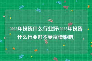 2022年投资什么行业好(2022年投资什么行业好不受疫情影响)