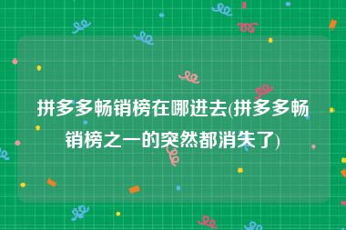 拼多多畅销榜在哪进去(拼多多畅销榜之一的突然都消失了)