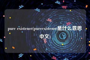 pure existence(pureexistence是什么意思中文)