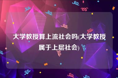 大学教授算上流社会吗(大学教授属于上层社会)