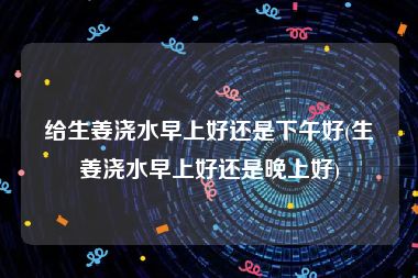 给生姜浇水早上好还是下午好(生姜浇水早上好还是晚上好)