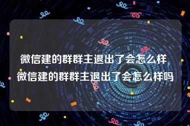 微信建的群群主退出了会怎么样 微信建的群群主退出了会怎么样吗