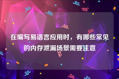 在编写易语言应用时，有哪些常见的内存泄漏场景需要注意