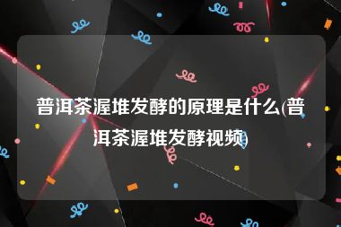 普洱茶渥堆发酵的原理是什么(普洱茶渥堆发酵视频)