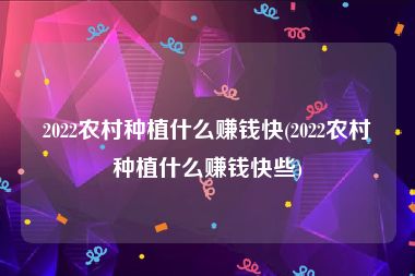 2022农村种植什么赚钱快(2022农村种植什么赚钱快些)