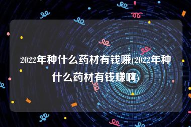 2022年种什么药材有钱赚(2022年种什么药材有钱赚啊)