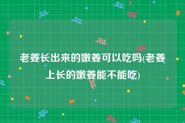 老姜长出来的嫩姜可以吃吗(老姜上长的嫩姜能不能吃)