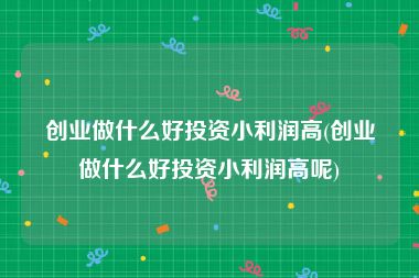 创业做什么好投资小利润高(创业做什么好投资小利润高呢)