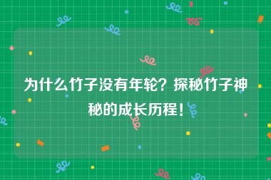 为什么竹子没有年轮？探秘竹子神秘的成长历程！