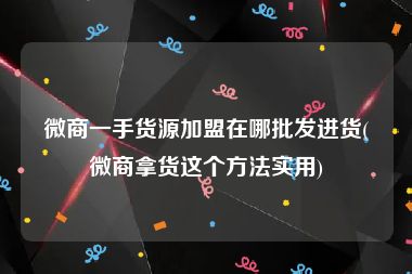 微商一手货源加盟在哪批发进货(微商拿货这个方法实用)